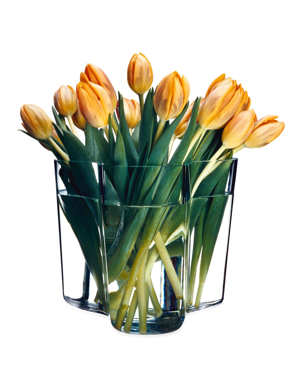 Alvar Aalto系列_Aalto花瓶160mm_透明色