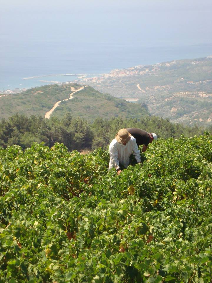 12246967_1649631791958625_445104581062248041_n