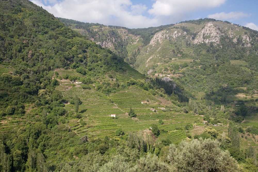 samos-%e6%a2%af%e7%94%b0-1