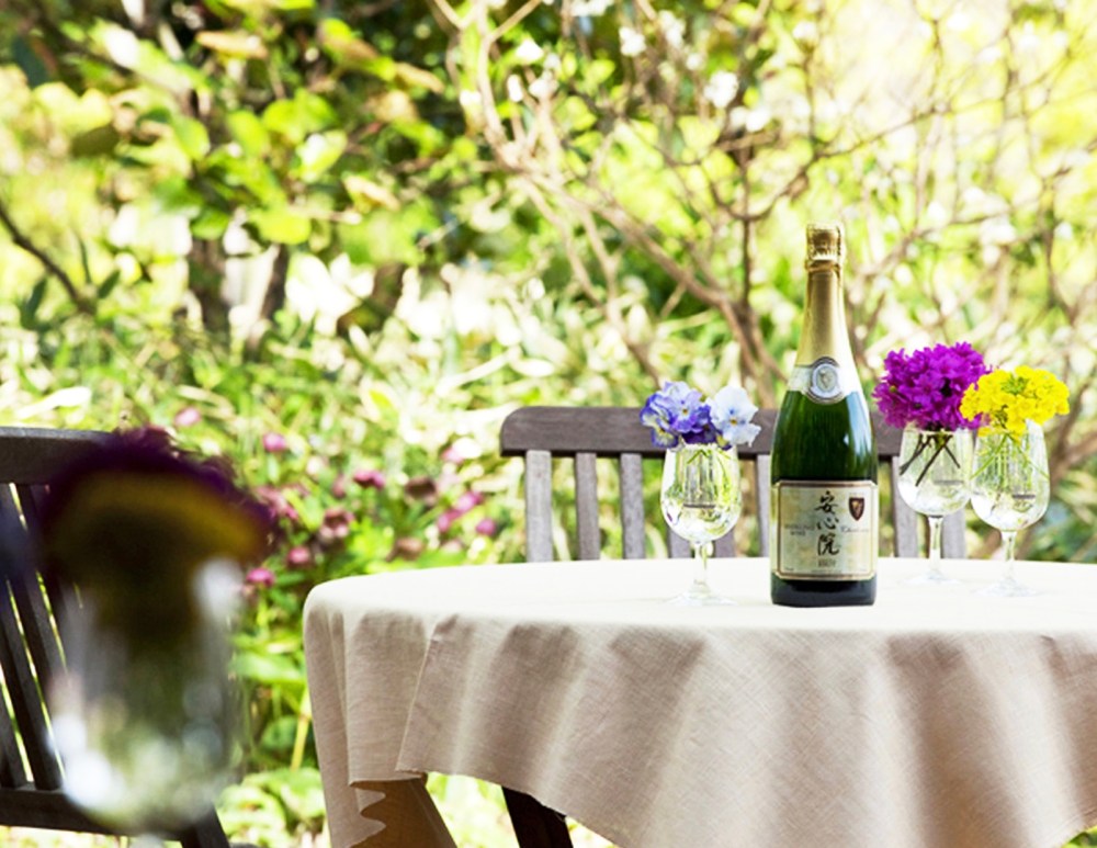 相片 2018-3-1 23 44 55